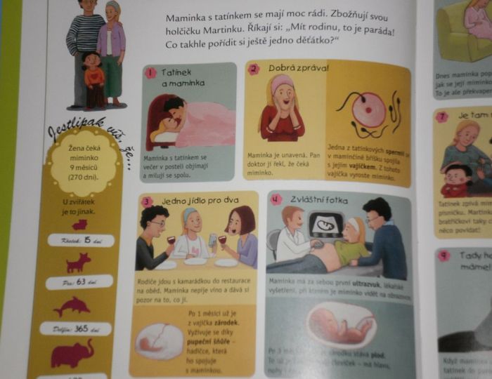 Náhled