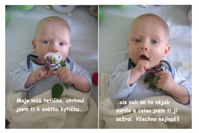 Náhled