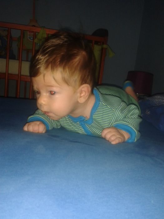 Náhled