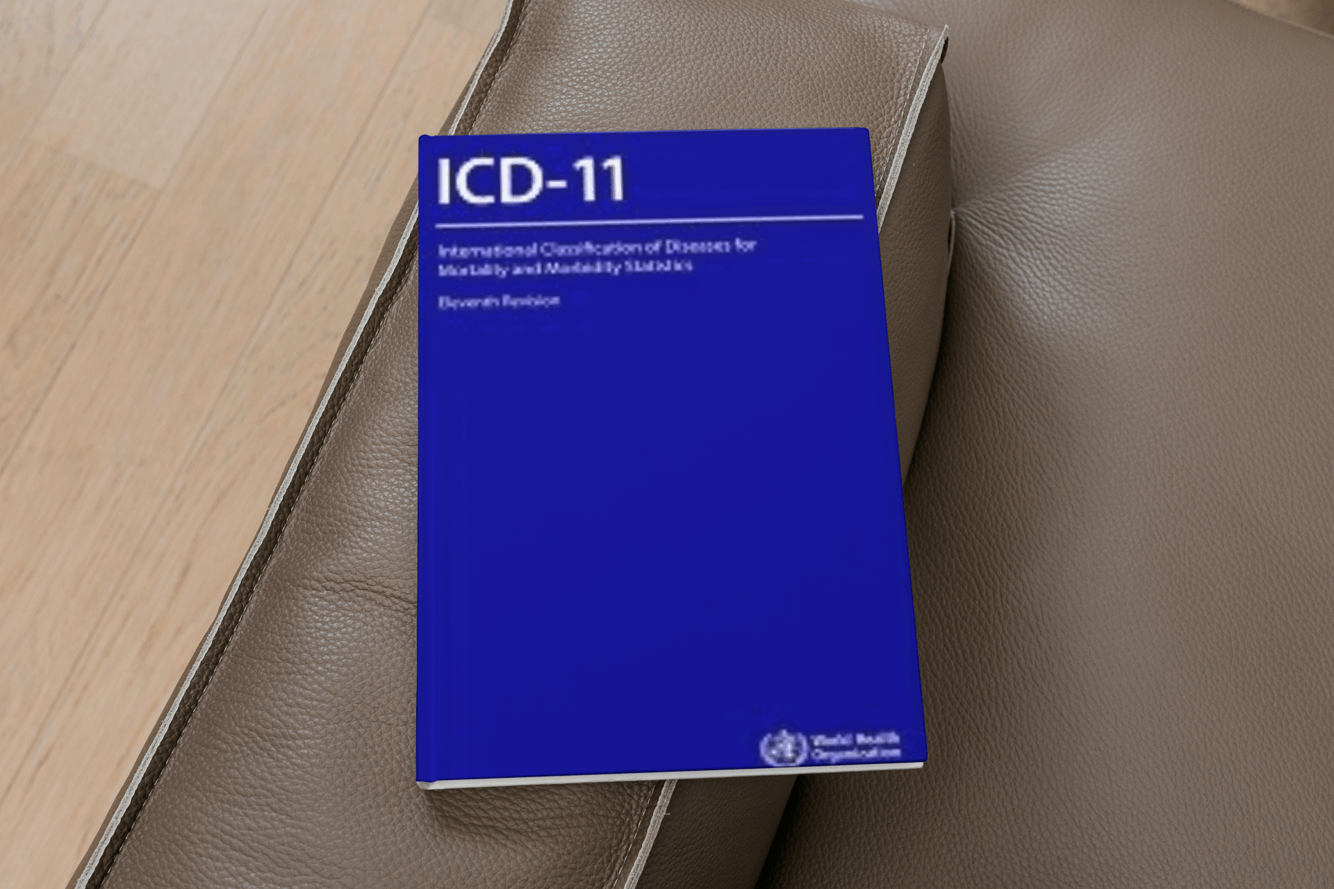 Porucha autistického spektra dle Mezinárodní klasifikace nemocí (MKN 11)