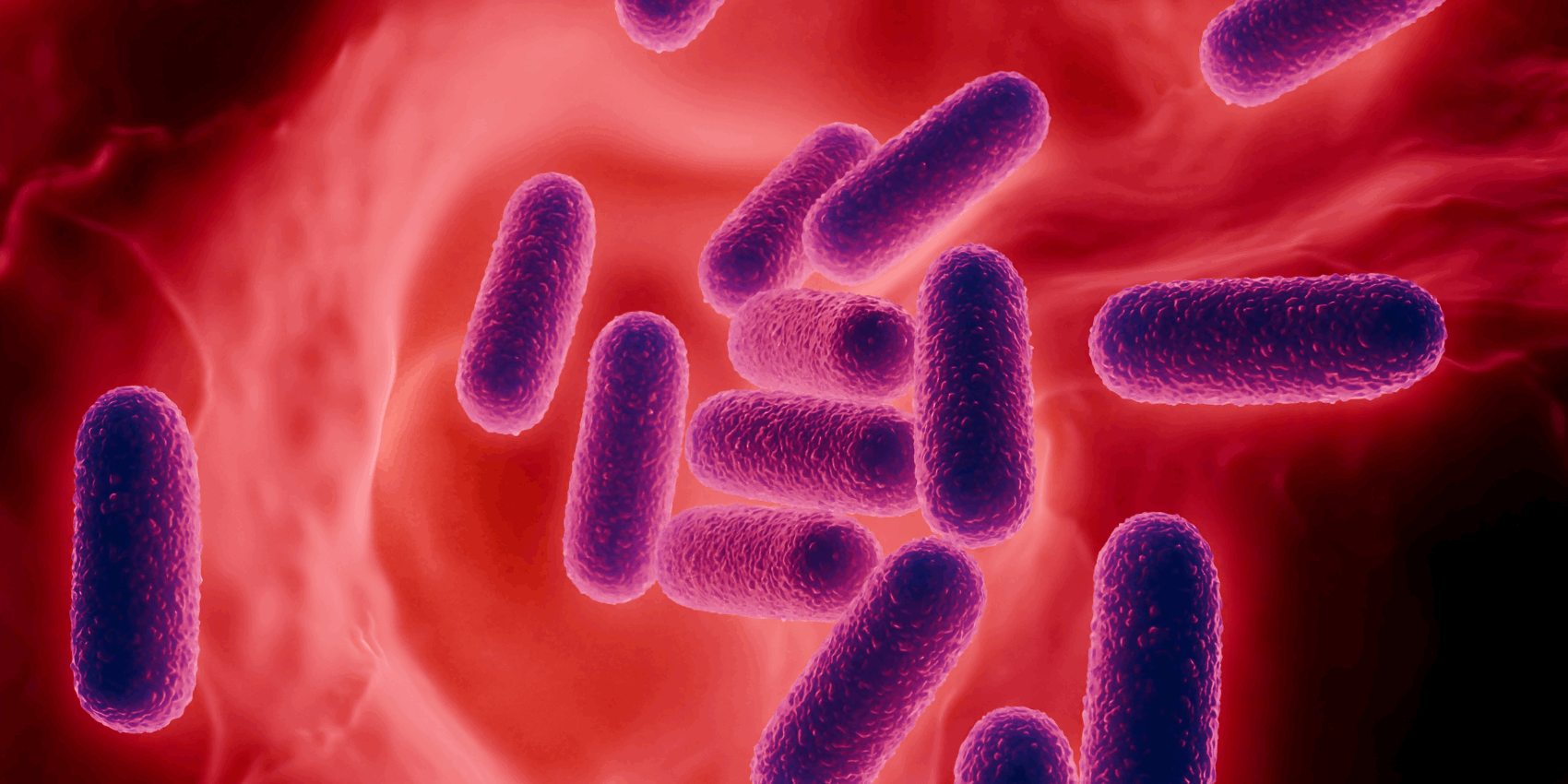Komerční analýza mikrobiomu: Stanovisko výboru České mikrobiomové společnosti