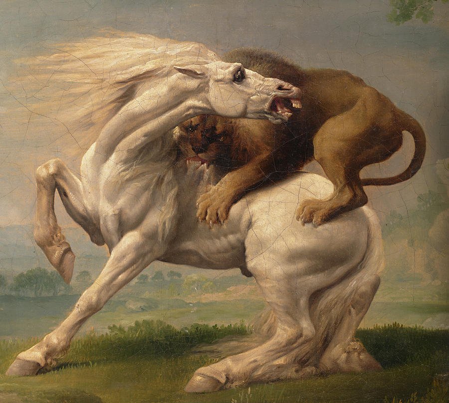 5-a-lion-attacking-a-horse-george-stubbs.jpg