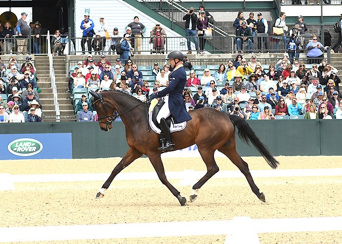 Jung_Fischerchipmunk_Dressage-1.jpg