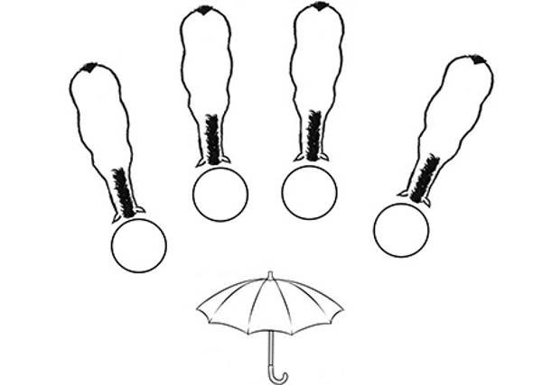 00325245l.jpg