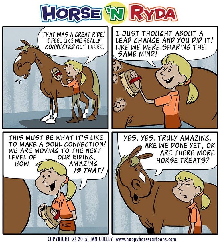 happy-horse-cartoons-_1.jpg