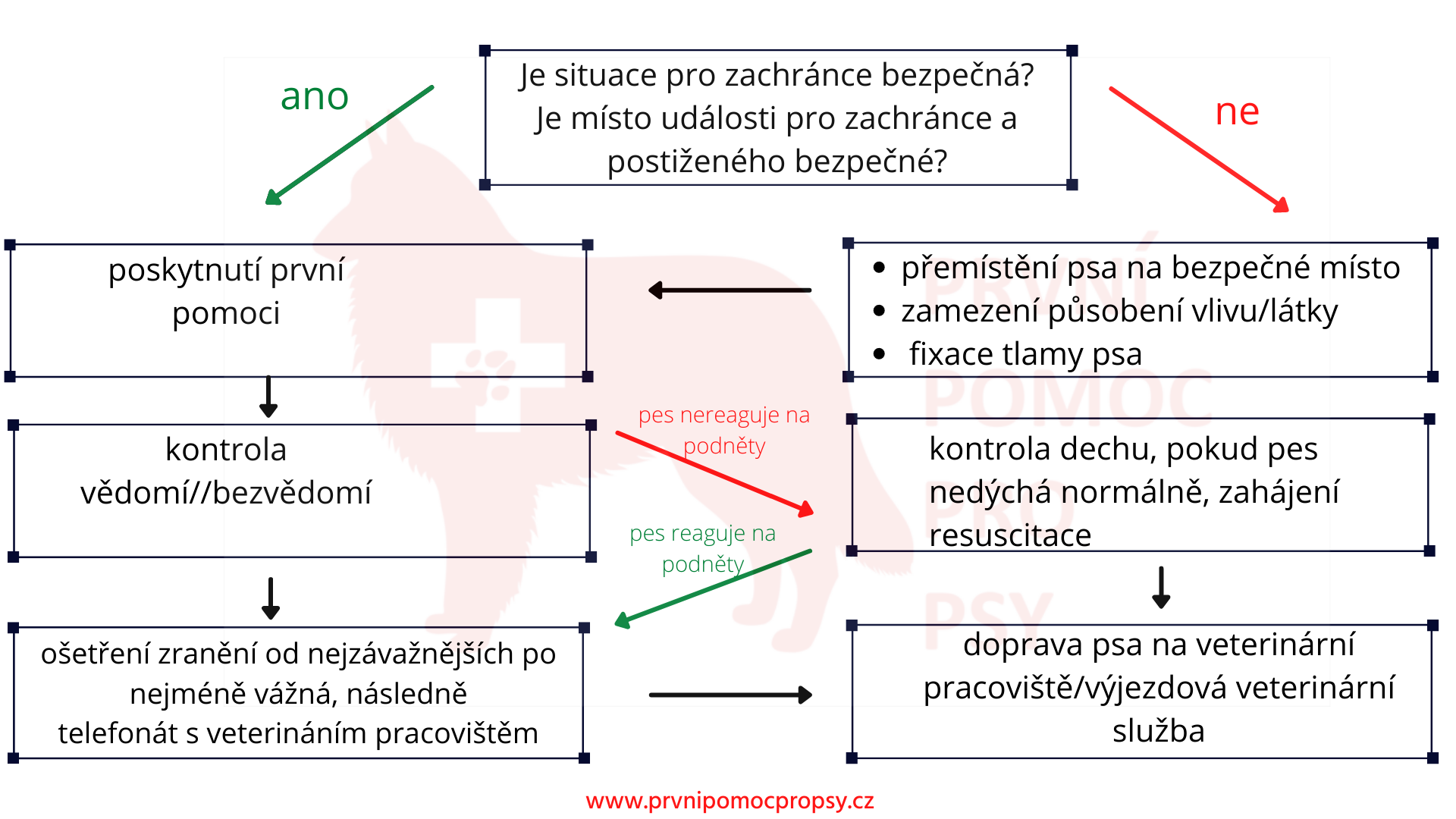 www.prvnipomocpropsy.cz-.png