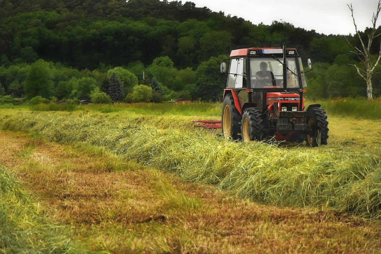 hay-4318472-1280.jpg