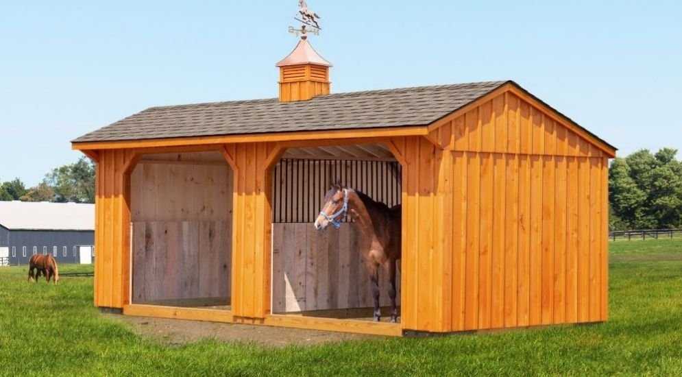 Miniature-Horse-Shelter-pa.jpg