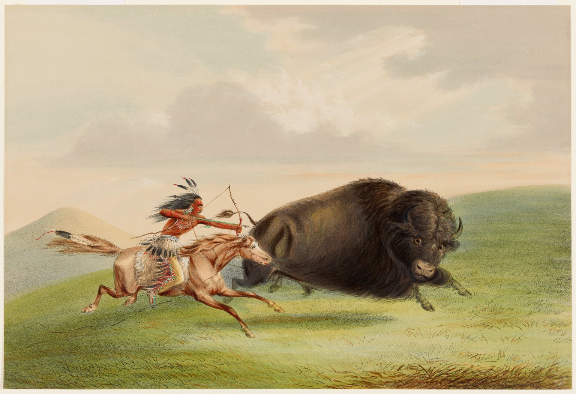 10_catlin_buffalo.jpg