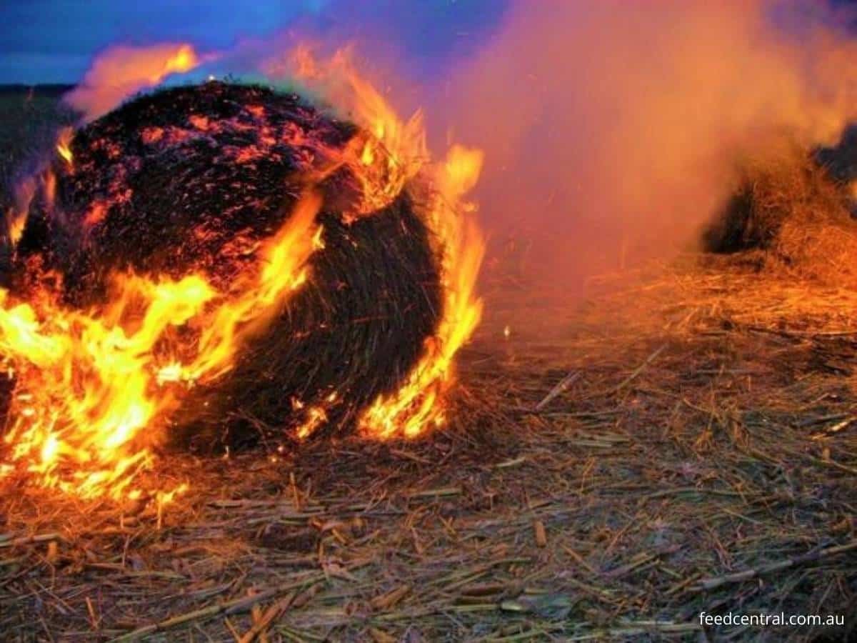 Why-do-hay-bales-catch-fire.jpg