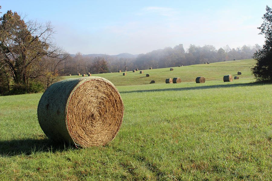 hay-bales-in-a-missouri-field-at-sunrise-adam-long.jpg