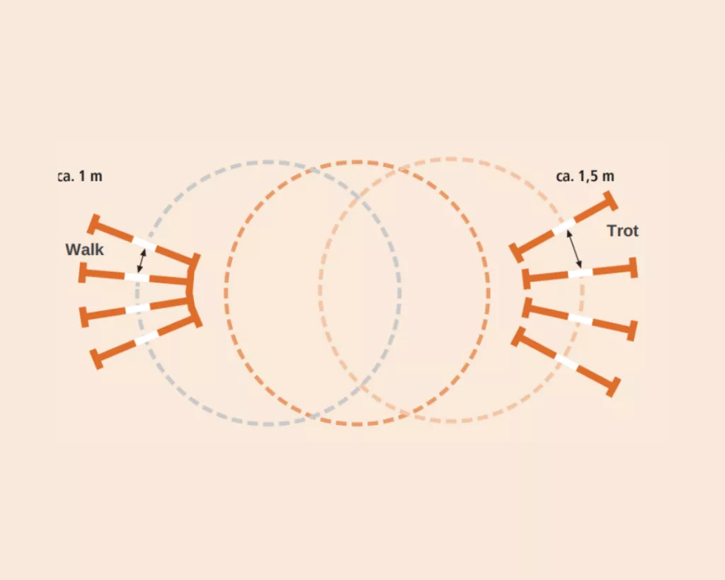 45-ratio-course-modules-copy-1024x819.webp