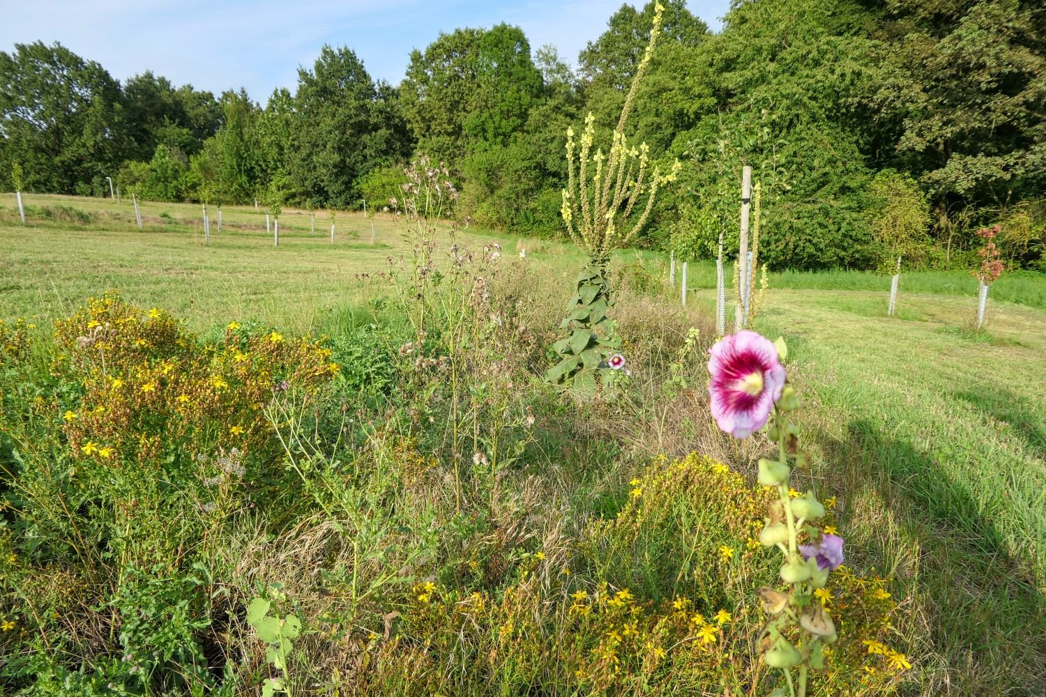 P1000875.jpg