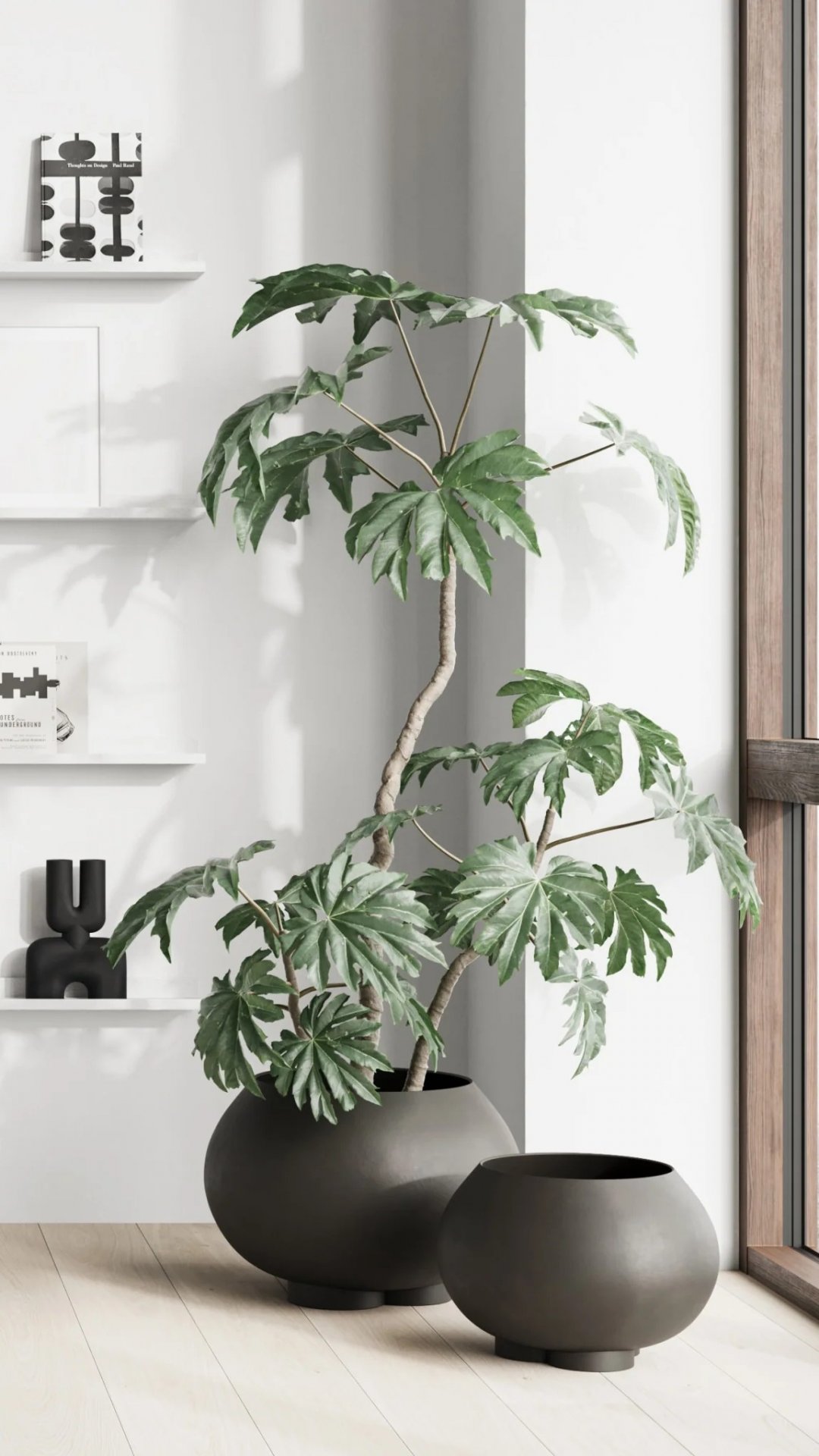 Urchin plant pot