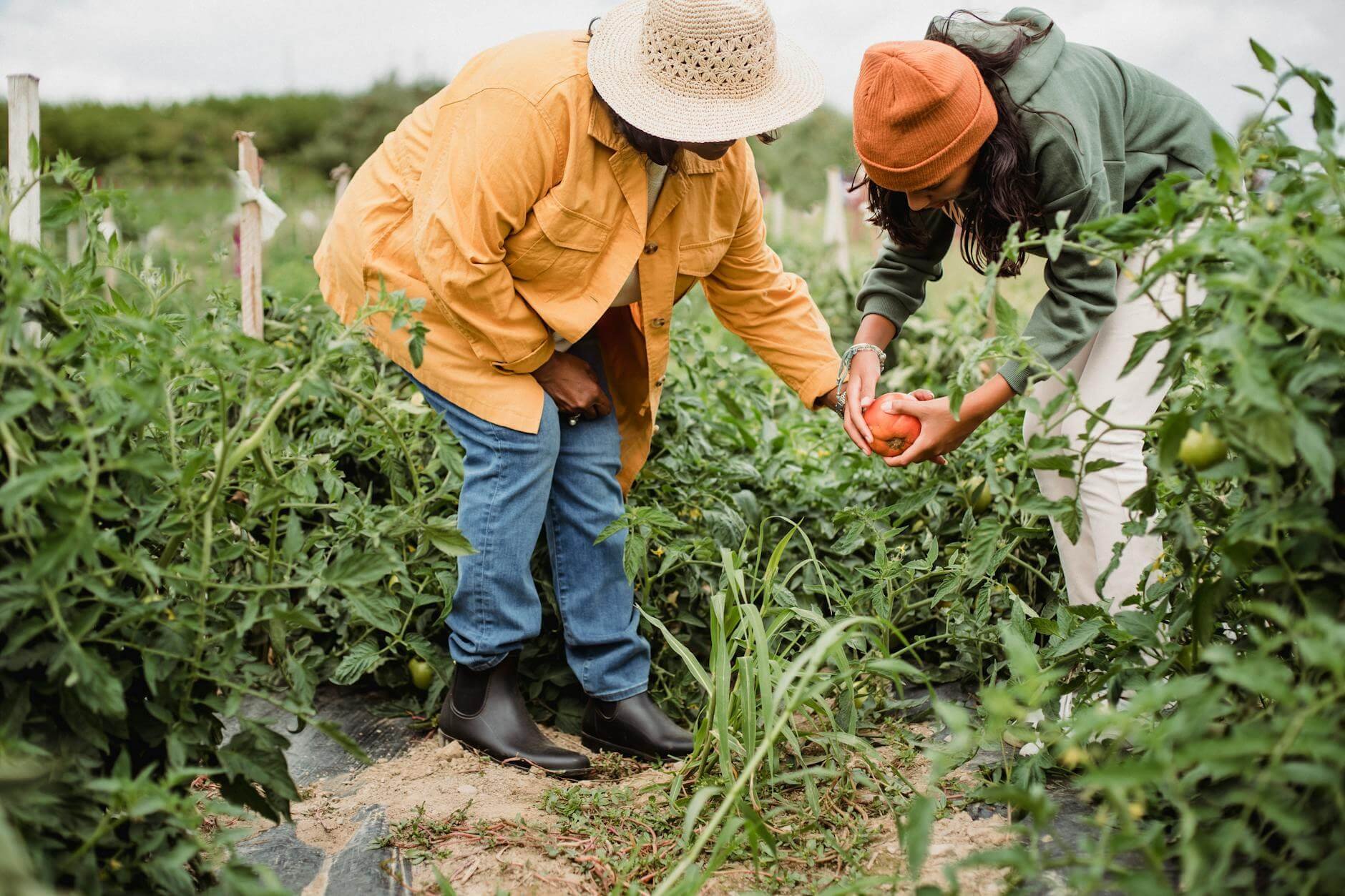 Supporting local communities