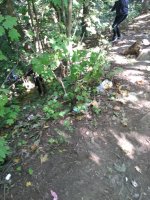 IMG_20200918_120033.jpg