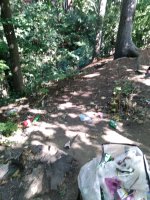 IMG_20200918_121337.jpg