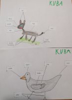 Kuba.jpg