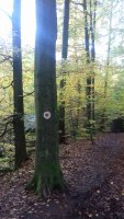 20201025_155002.jpg