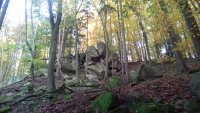 20201025_155357.jpg
