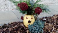 IMG_20171031_085138.jpg