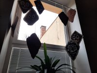20201101_094255.jpg