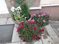 20201101_094502.jpg
