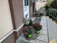 20201101_094536.jpg