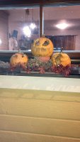 IMG-20201030-WA0025.jpg