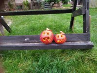 IMG_20201101_111159.jpg