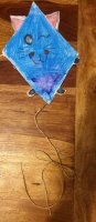 20201103_212809.jpg