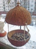 krmítko2.jpg