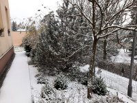 20201203_080914.jpg