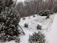 20201203_080921.jpg