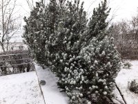 20201203_080926.jpg