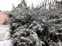 20201203_081133.jpg
