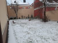 20201203_081139.jpg