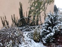 20201203_081249.jpg