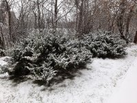 20201203_081328.jpg