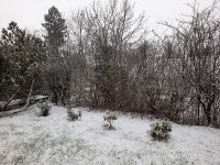 20201203_081331.jpg