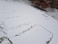 20201203_083458.jpg