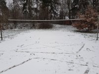 20201203_083626.jpg