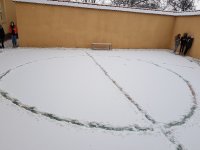 20201203_091134.jpg