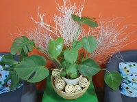 20201215_092219.jpg