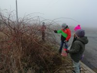 IMG_20201124_141611.jpg