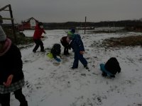 IMG_20201203_142143.jpg
