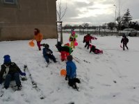 IMG_20210108_140655.jpg