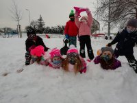 IMG_20210209_143131.jpg