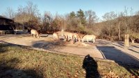 IMG_20181205_102512.jpg