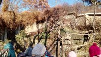 IMG_20181205_110322.jpg